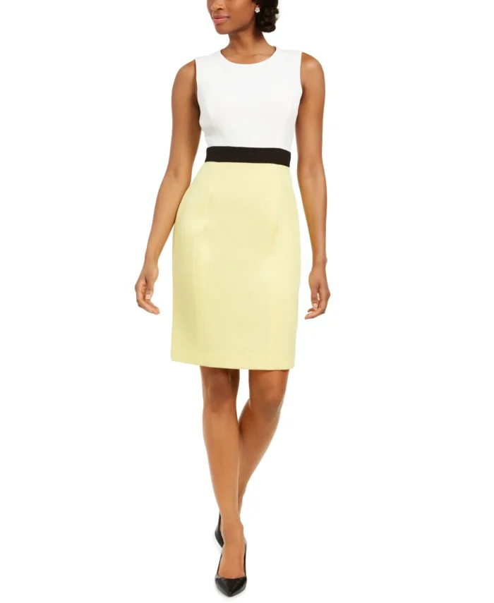 Kasper Sleeveless Dress 6