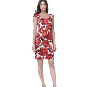 White House Black Market Floral Dress. Sizes 0 and 6