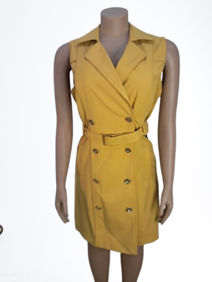Sharagano Custard Dress
