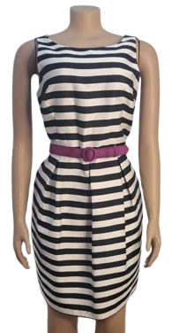 White House Black Market Stripped Sleeveless Dress