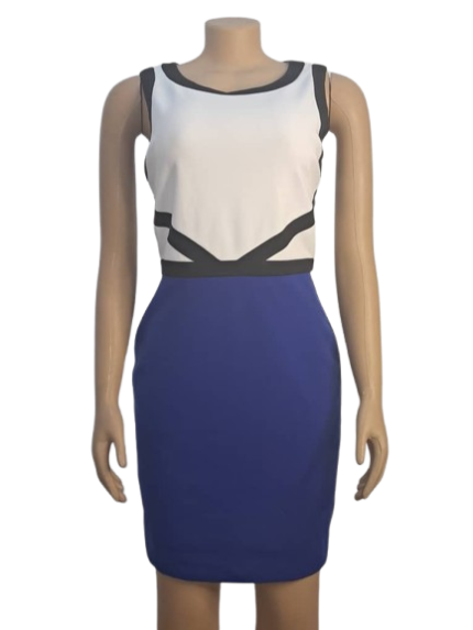Calvin Klein White And Blue Sleeveless Dress