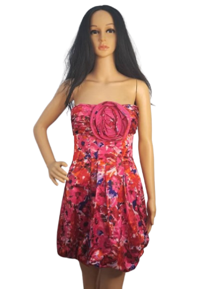 BCBG Maxazria Floral Burstier Dress