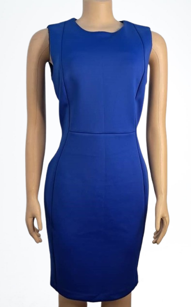 Calvin Klein Blue Dress
