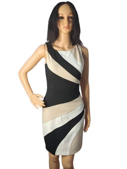 White House Black Market Sleeveless Dress