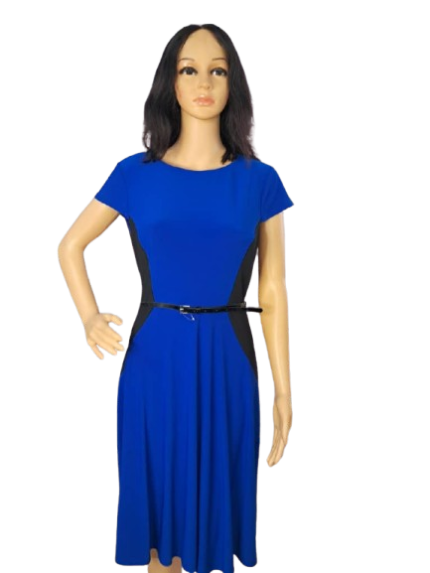 Jessica Howard Dress