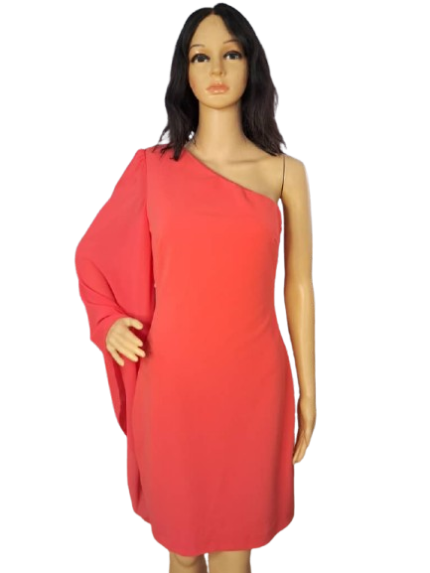 Belle Badgley Mischka Dress