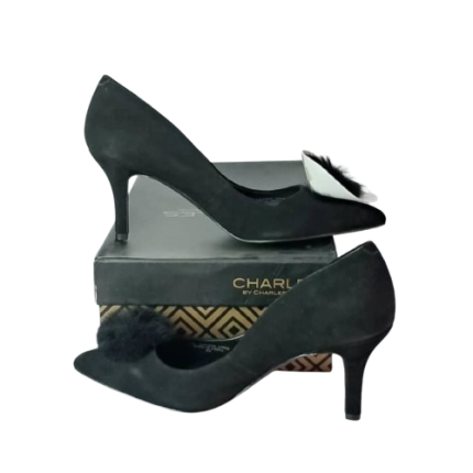 Charles David Shoe