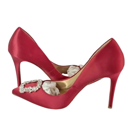 Badgley mischka Pumps