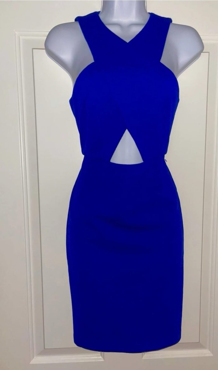 Torn By Ronny Kobo Dress. US S - Image 2