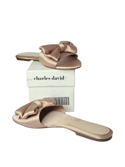 Charles David Slide. US 7
